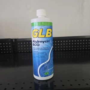 GLB Algimycin 600